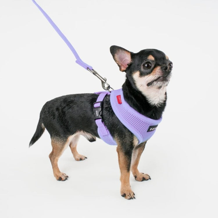 Puppia Soft Harness model A Violet - Premium hondentuig > honden harnas from Puppia - Just €18.99! Shop now at Frenkiezdogshop