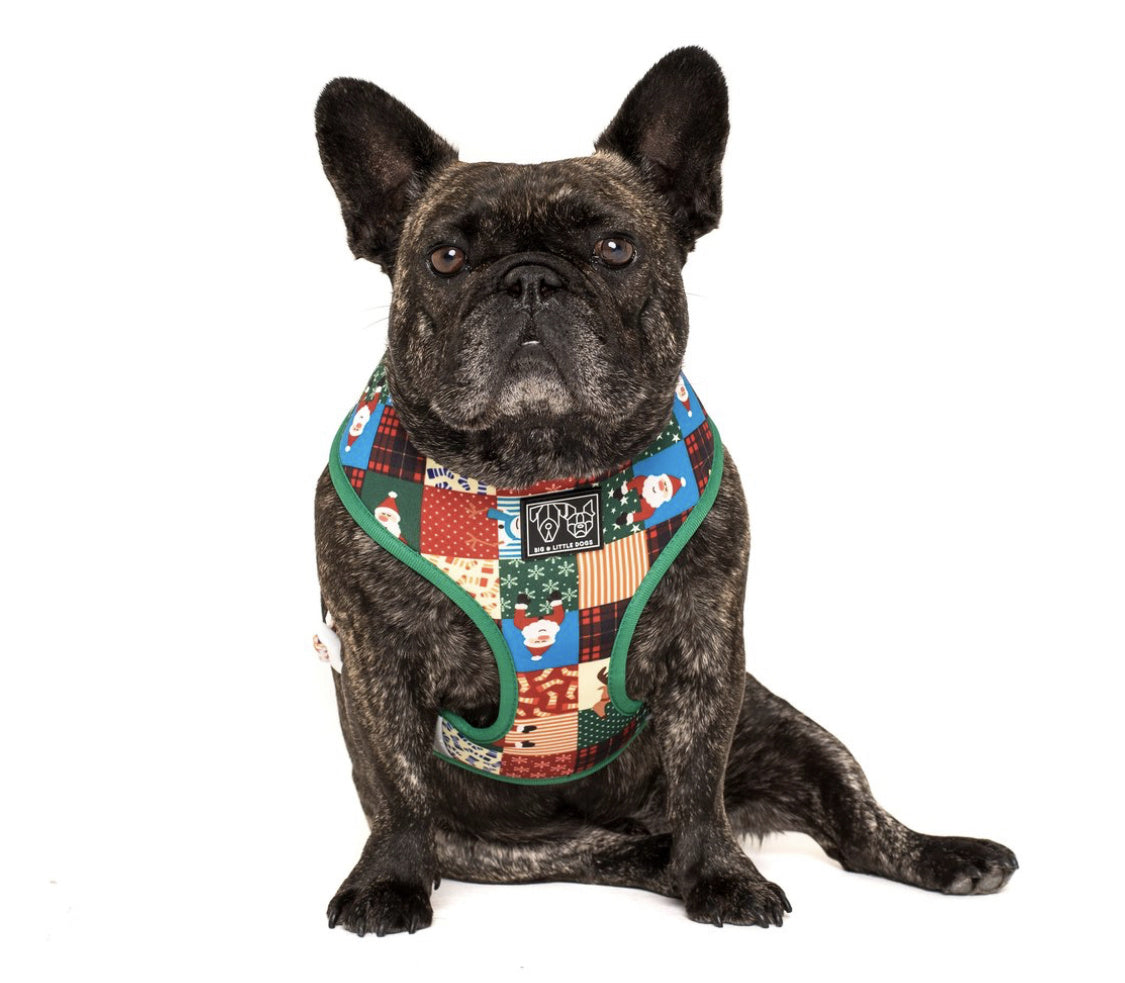 Big and Little Dogs Reversible Harness Silly Season ( XS, S & M ) - Premium hondentuig > honden harnas from Big and Little Dogs - Just €10! Shop now at Frenkiezdogshop