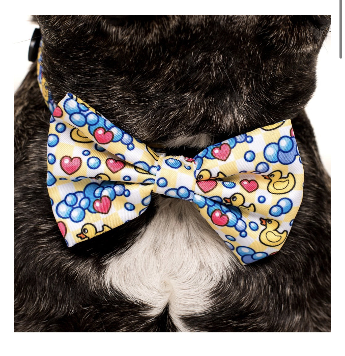 Big and Little Dogs Halsband Rubber Ducky ( SMALL ) - Premium halsband > hondenhalsband from Big and Little Dogs - Just €10! Shop now at Frenkiezdogshop