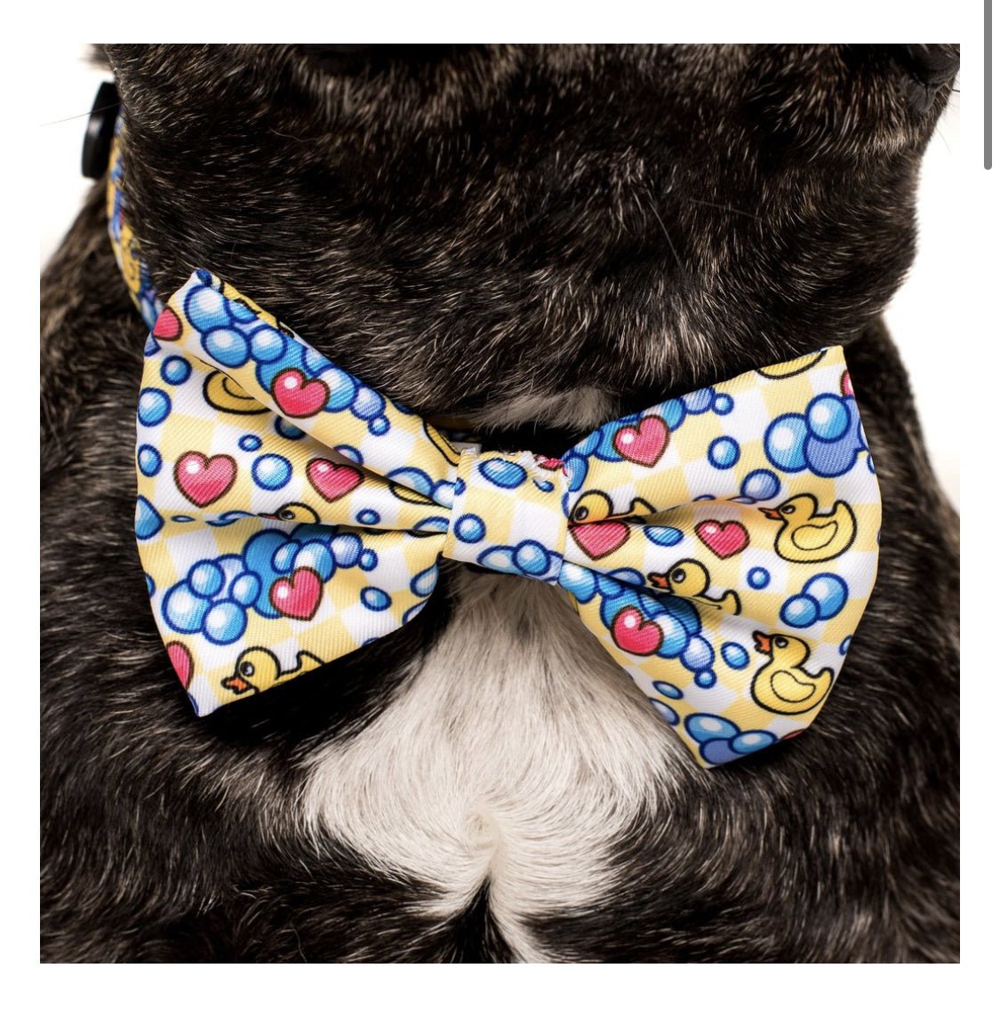 Big and Little Dogs Halsband Rubber Ducky ( SMALL ) halsband > hondenhalsband X - Small