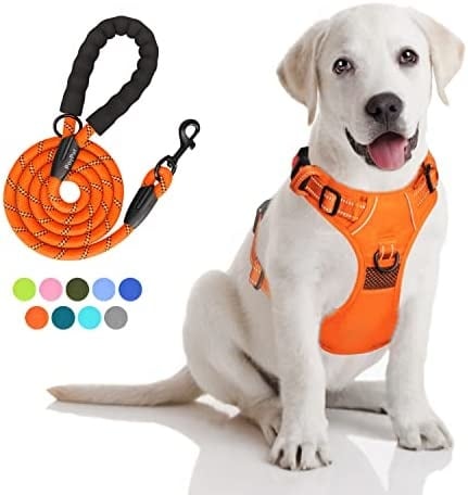 Frenkiez reflective dog leash carseatbelt orange - Premium hondenriem > hondenlijn from Frenkiez - Just €10! Shop now at Frenkiezdogshop