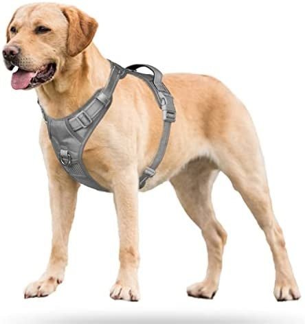 Frenkiez Y tuig dogharness reflective Grey ( matching straps ) hondentuig > honden harnas > Y tuigen Small