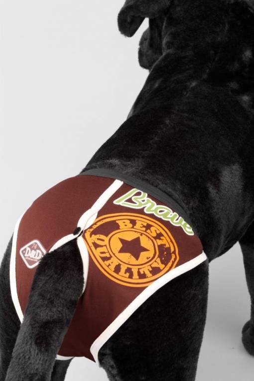 D&D dog pants periodebroekje BRAVE - Premium Loopsheidbroek > Periodebroekje from Frenkiezdogshop - Just €5! Shop now at Frenkiezdogshop