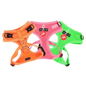 Puppia Neon Soft Harness Ritefit II Orange hondentuig > honden harnas > model A Small