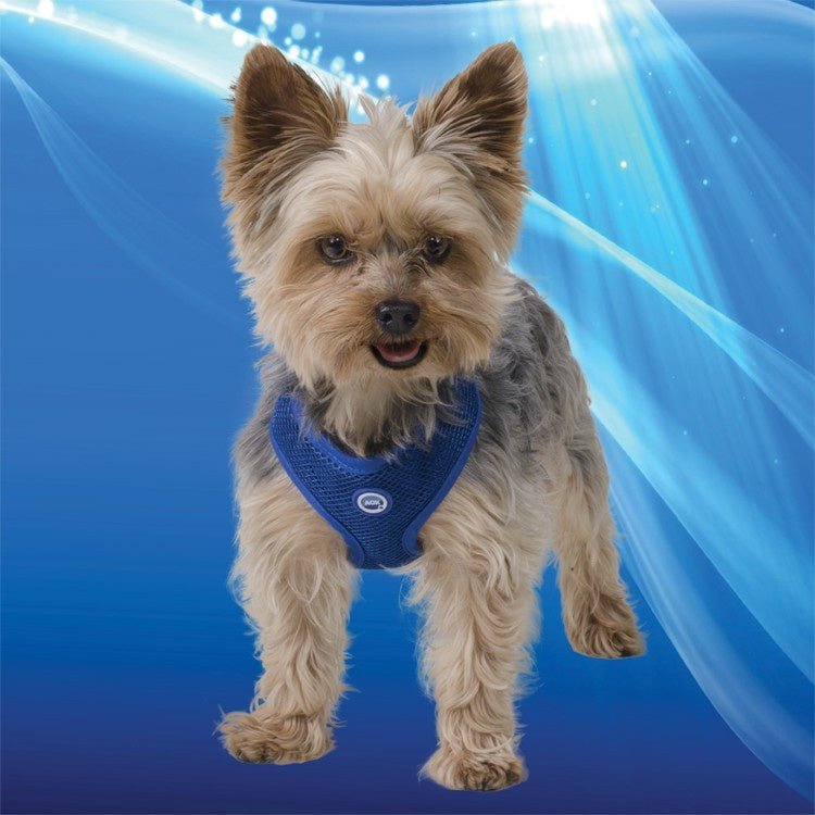 Aqua Cool Keeper RoundLoop Tuigje cooling > koelvest XX - Small