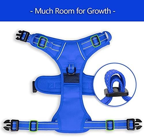 Frenkiez Y tuig dogharness reflective Royal Blue ( matching straps ) hondentuig > honden harnas > Y tuigen Small