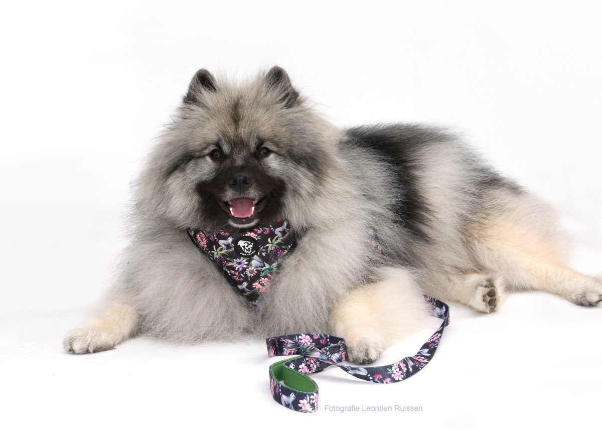 Frenkiez Reversible Harness Maki Flower hondentuig > honden harnas > model A X - Small
