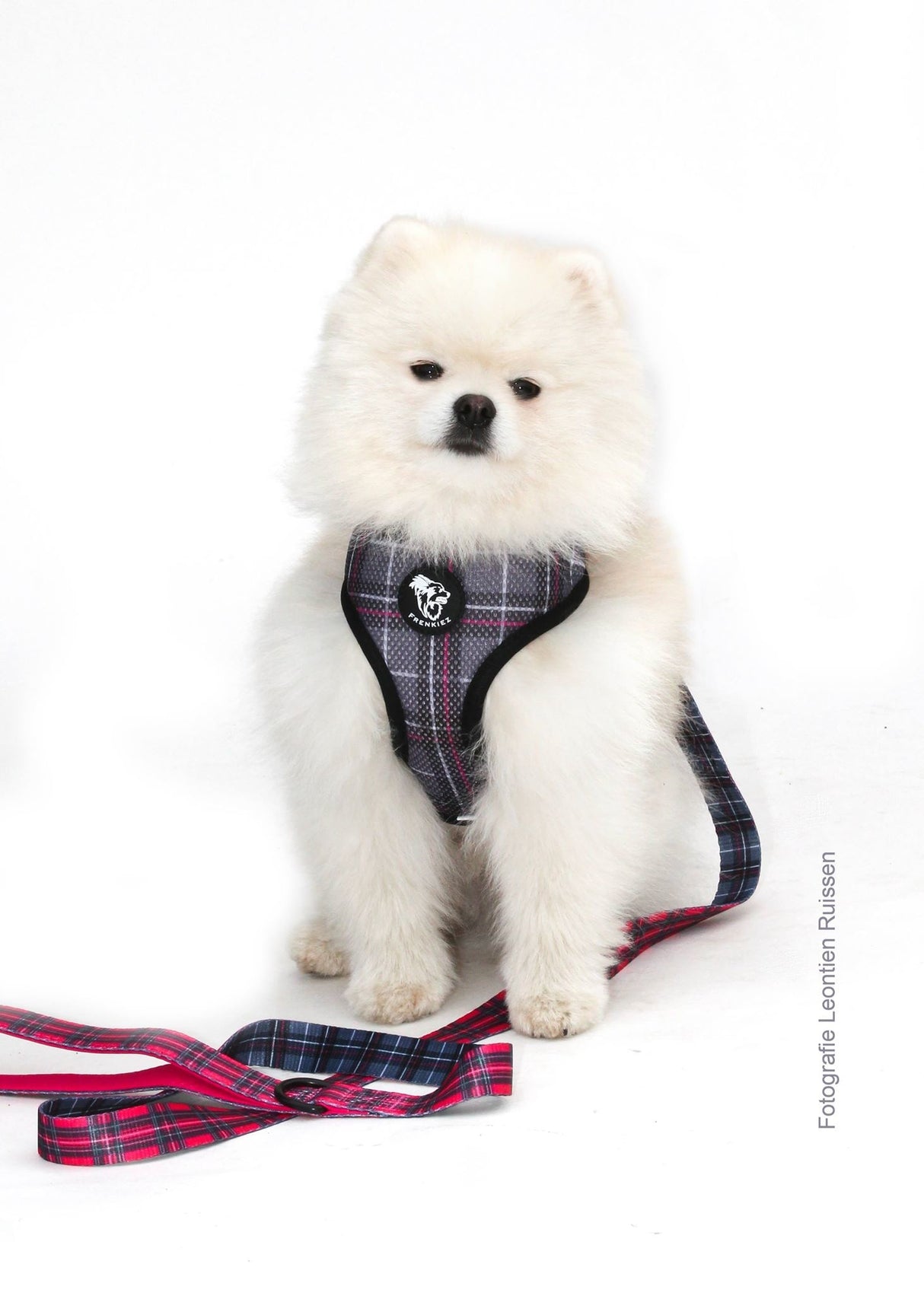 Frenkiez Reversible Harness BarkBerry red - Premium hondentuig > honden harnas from Frenkiez - Just €10! Shop now at Frenkiezdogshop