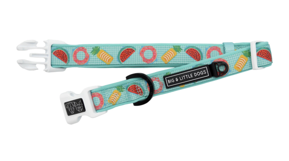 Big and Little Dogs Halsband A Splashing Good Time ( XSMALL ) - Premium halsband > hondenhalsband from Big and Little Dogs - Just €10! Shop now at Frenkiezdogshop
