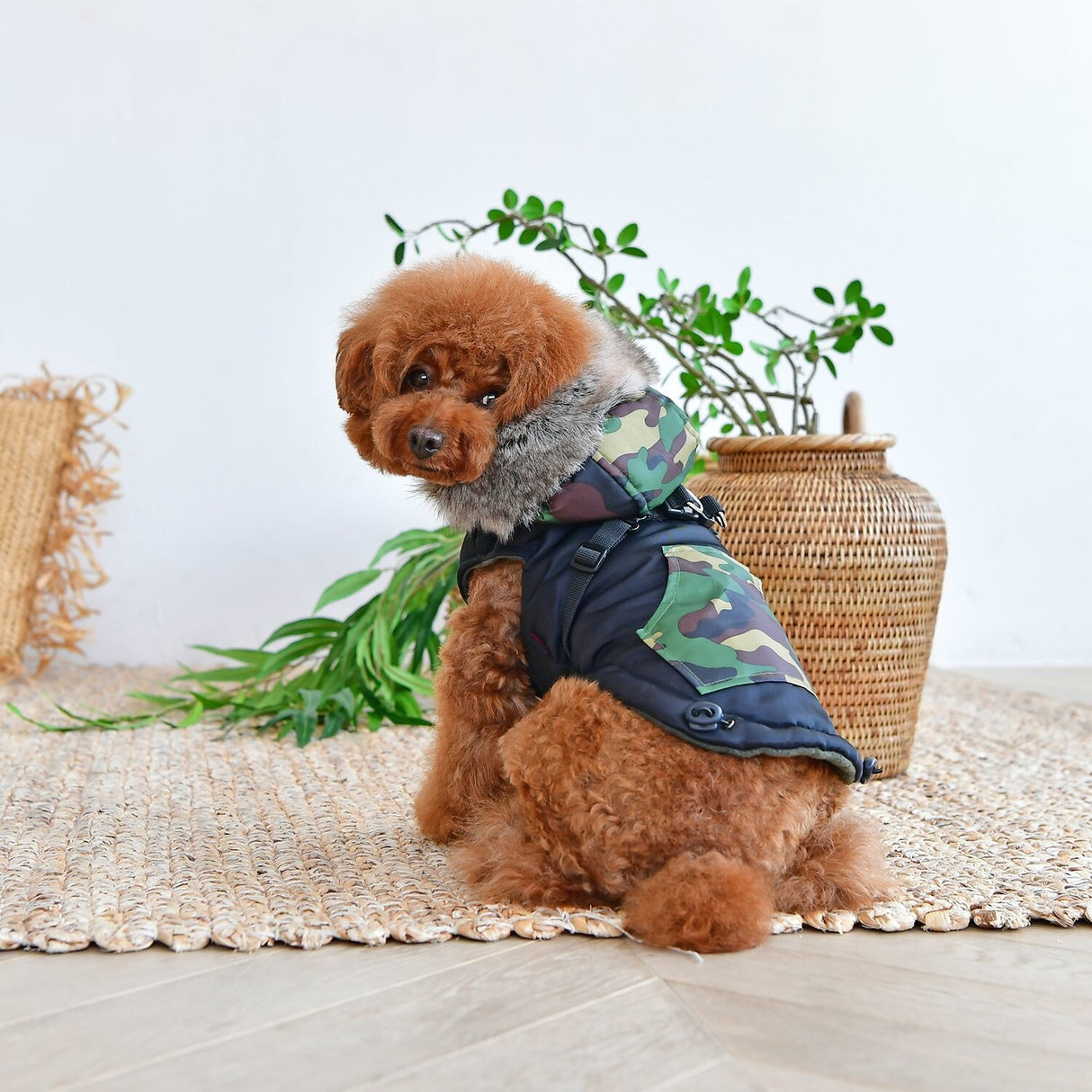 Puppia Orson Jacket Harness Black - Premium Hondenkleding > hondenjas from Puppia - Just €69.99! Shop now at Frenkiezdogshop