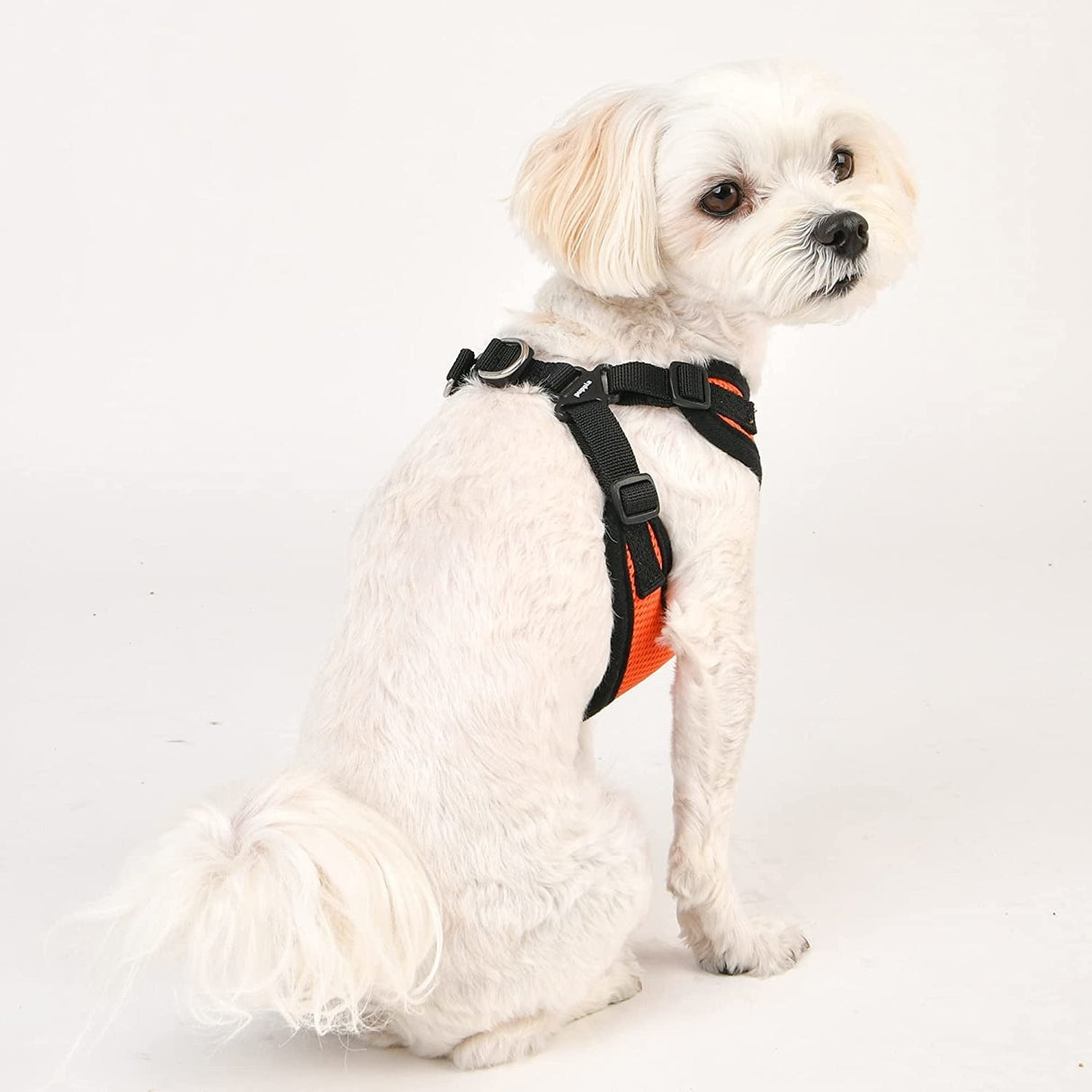 Puppia Soft Harness model C Orange hondentuig > honden harnas > model C Small