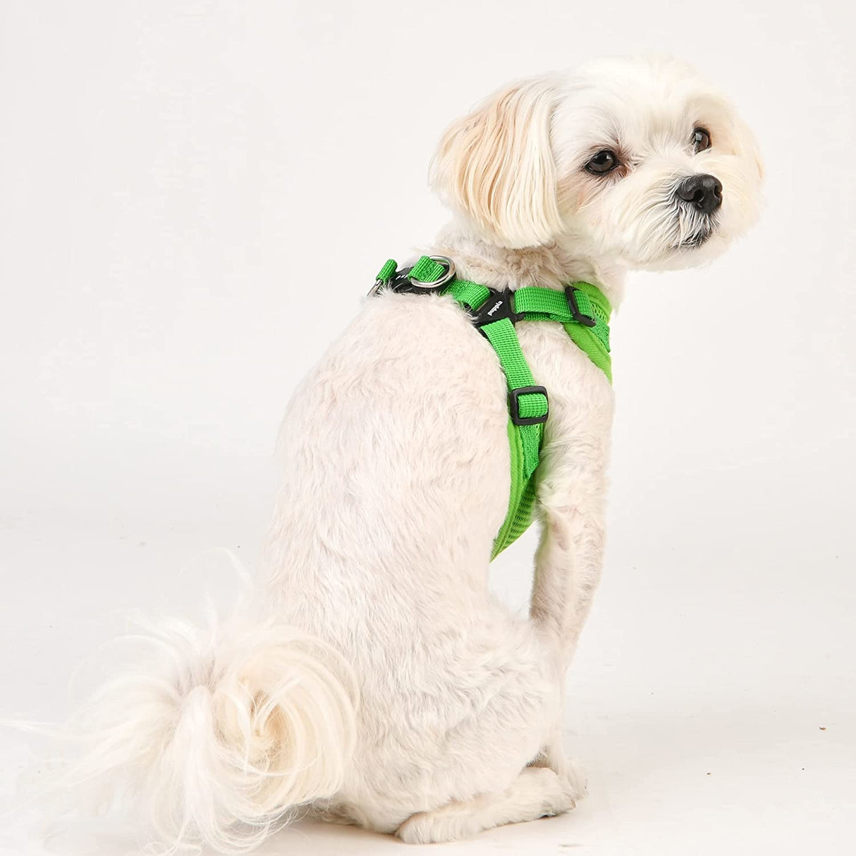 Puppia Soft Harness model C Green hondentuig > honden harnas > model C Small