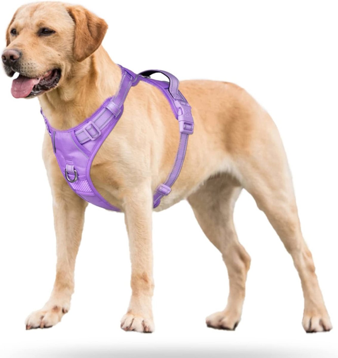Frenkiez Y tuig dogharness reflective Lila ( matching straps ) hondentuig > honden harnas > Y tuigen Small