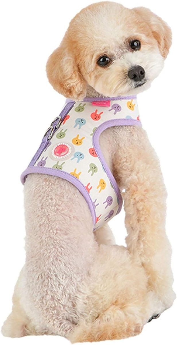 Pinkaholic Hopper Harness pinka purple hondentuig > honden harnas > model B Small