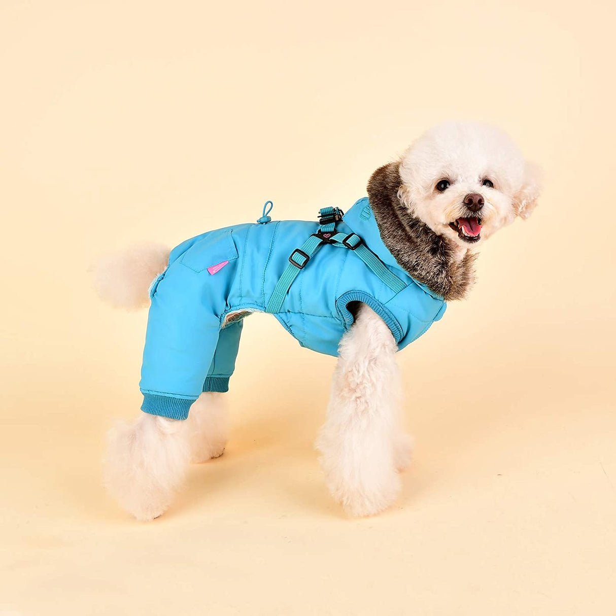 Pinkaholic Evelyn Jacket Harness Aqua - Premium Hondenkleding > hondenjas from Pinkaholic - Just €49.99! Shop now at Frenkiezdogshop