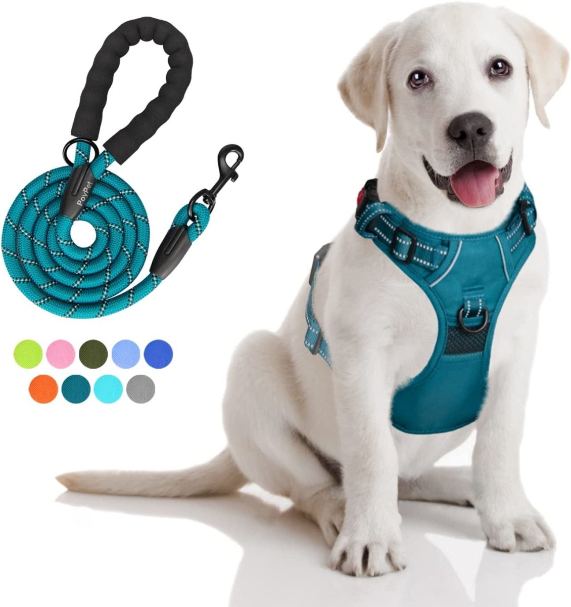 Frenkiez reflective dog leash Petrol Blue hondenriem > hondenlijn Standaard/One Size