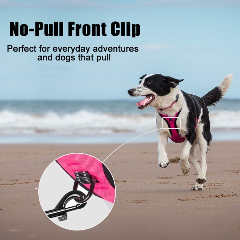 Frenkiez reflective no pull dog harness pink Small - Premium hondentuig > honden harnas from Frenkiez - Just €9.99! Shop now at Frenkiezdogshop