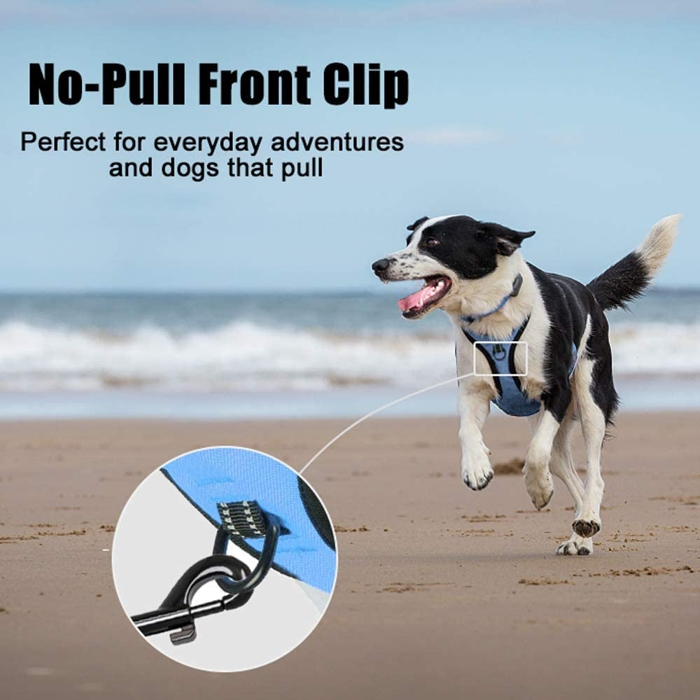 Frenkiez reflective no pull dog harness blue XS & S ) - Premium hondentuig > honden harnas from Frenkiez - Just €8.99! Shop now at Frenkiezdogshop