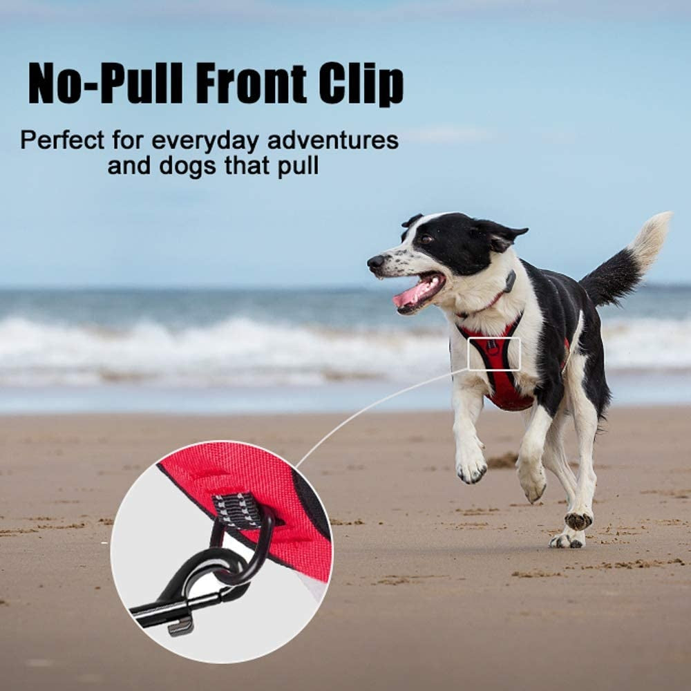 Frenkiez reflective no pull dog harness red - Premium hondentuig > honden harnas from Frenkiez - Just €10! Shop now at Frenkiezdogshop