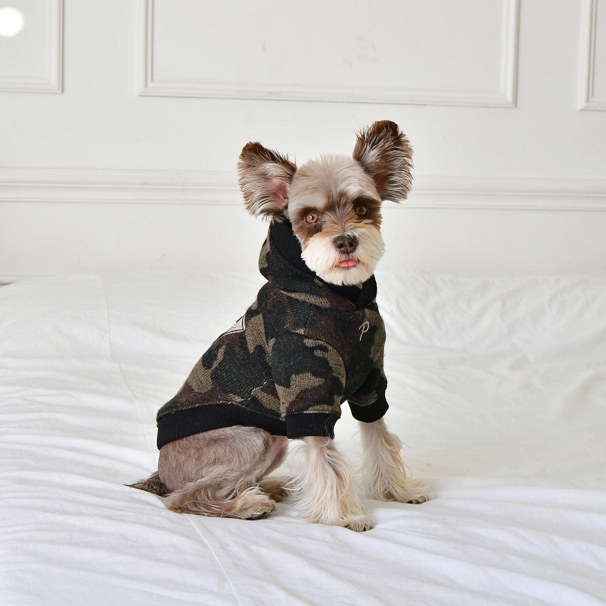 Puppia Colonel Hoodie Camo - Premium Hondenkleding > Hondentrui from Puppia - Just €20! Shop now at Frenkiezdogshop