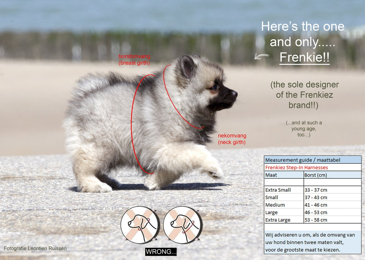 Frenkiez Step In Harness BarkBerry Beige - Premium hondentuig > honden harnas from Frenkiez - Just €10! Shop now at Frenkiezdogshop