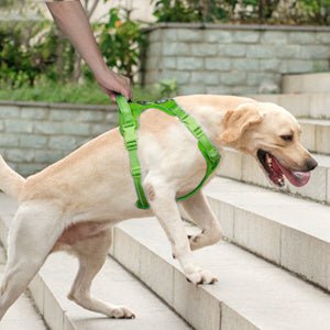 Frenkiez Y tuig dogharness reflective Neon Green ( matching straps ) hondentuig > honden harnas > Y tuigen Small