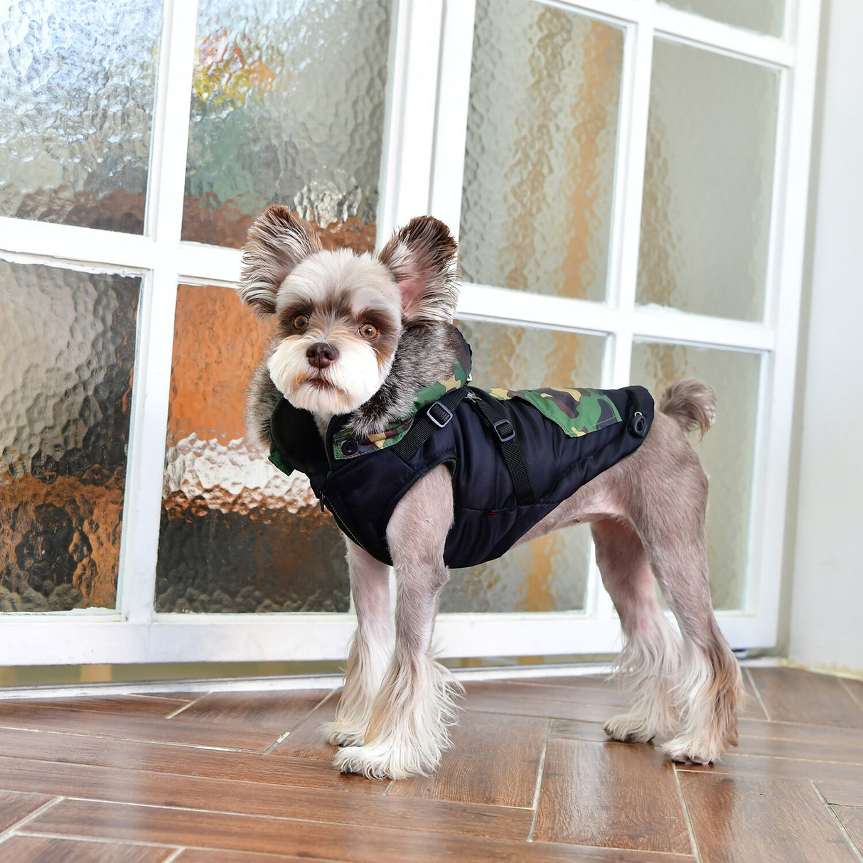 Puppia Orson Jacket Harness Black - Premium Hondenkleding > hondenjas from Puppia - Just €69.99! Shop now at Frenkiezdogshop