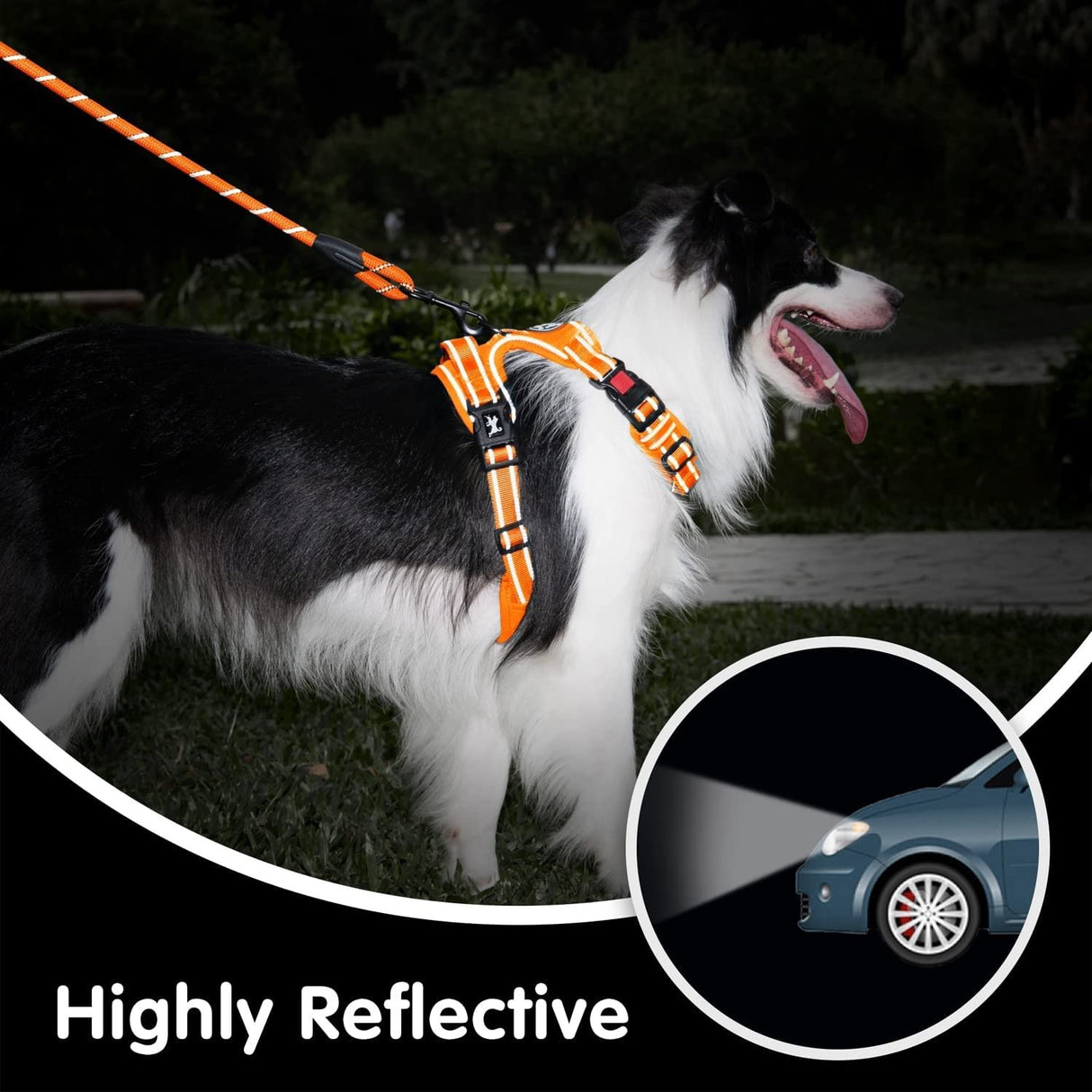 Frenkiez reflective dog leash carseatbelt orange - Premium hondenriem > hondenlijn from Frenkiez - Just €10! Shop now at Frenkiezdogshop