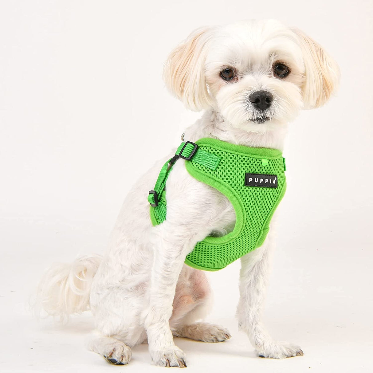 Puppia Soft Harness model C Green hondentuig > honden harnas > model C Small