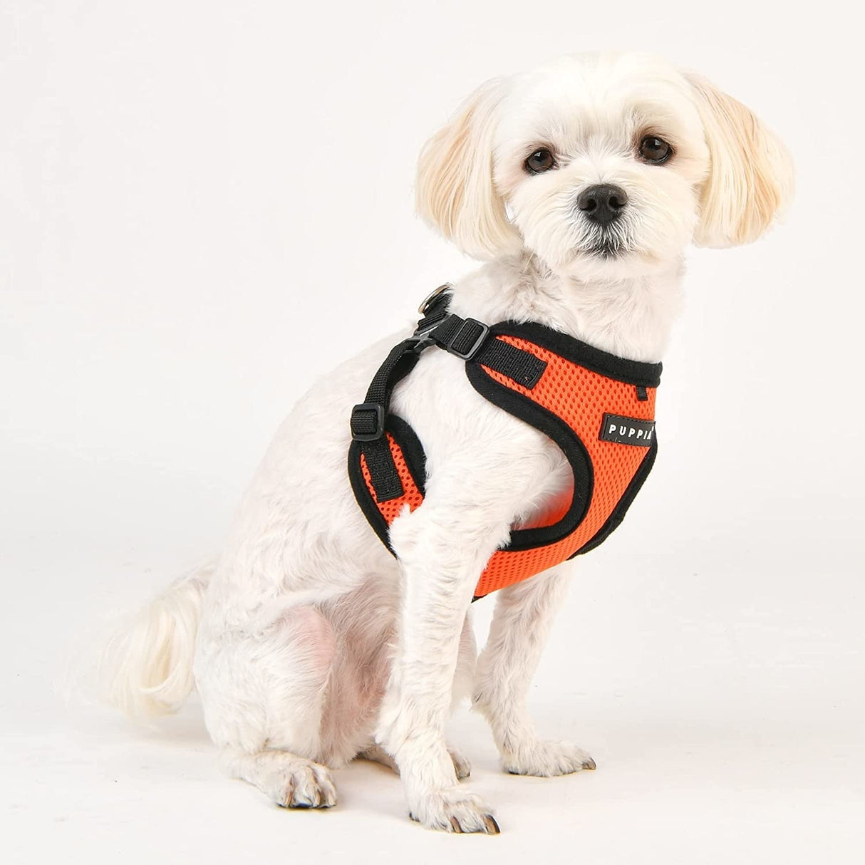 Puppia Soft Harness model C Orange hondentuig > honden harnas > model C Small