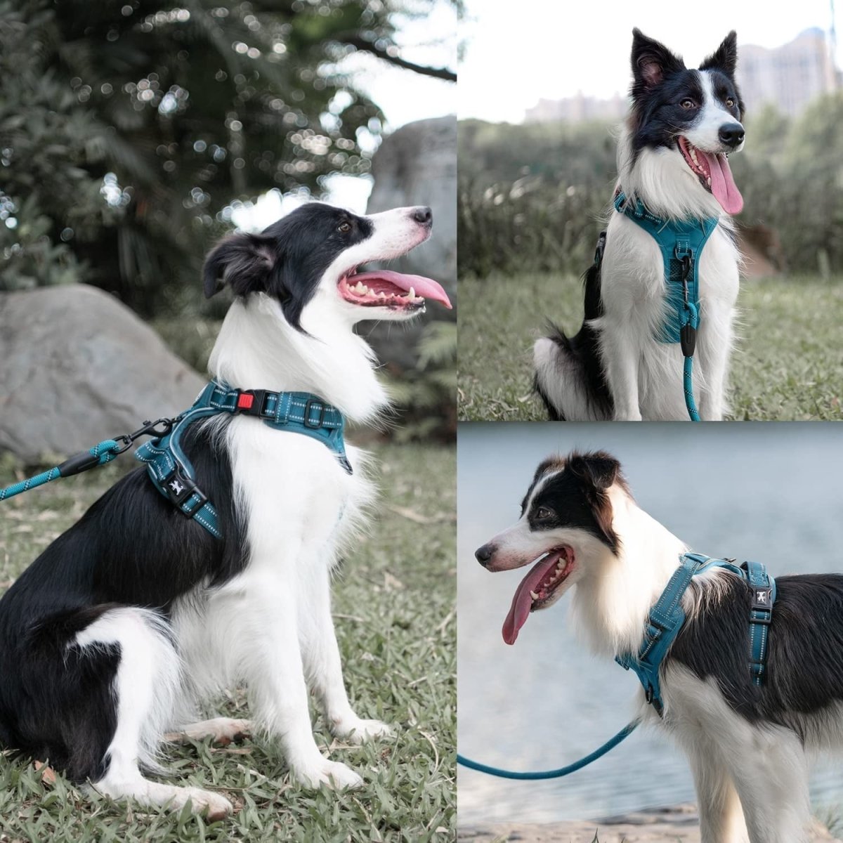 Frenkiez Y tuig dogharness reflective Petrol Blue ( matching straps ) hondentuig > honden harnas > Y tuigen Small