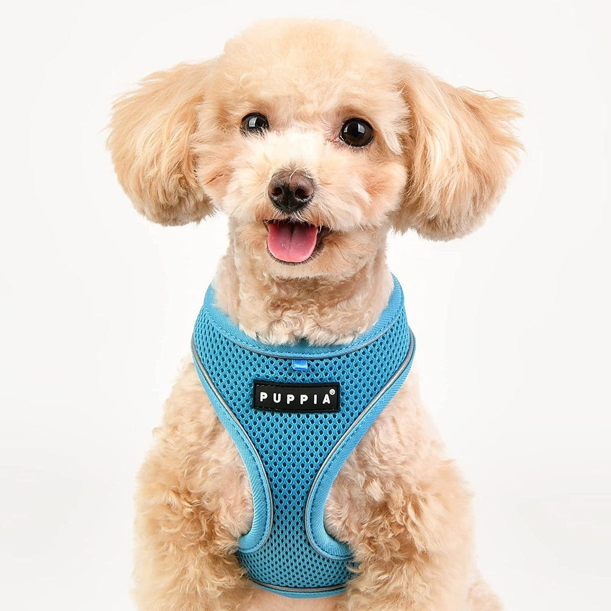 Puppia Soft Harness PRO model A Skyblue hondentuig > honden harnas > model A Small