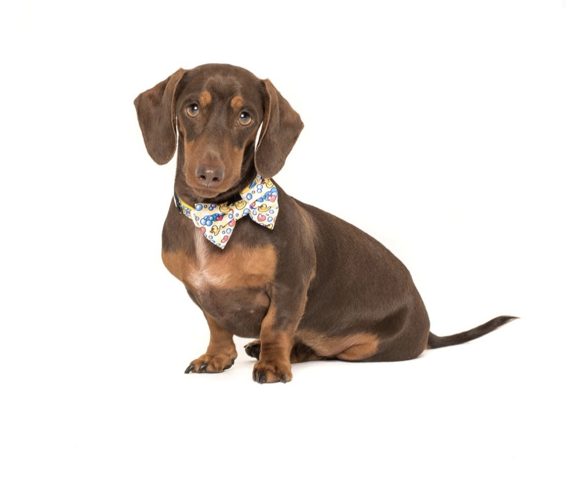 Big and Little Dogs Halsband Rubber Ducky ( SMALL ) - Premium halsband > hondenhalsband from Big and Little Dogs - Just €10! Shop now at Frenkiezdogshop