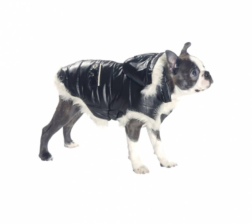 Bobby winterjasje Sofia zwart Alleen Small (30S) - Premium Hondenkleding > hondenjas from Bobby - Just €20! Shop now at Frenkiezdogshop