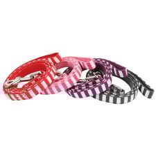 Puppia Halcyon paars/roze - Premium hondenriem > hondenlijn from Puppia - Just €5! Shop now at Frenkiezdogshop