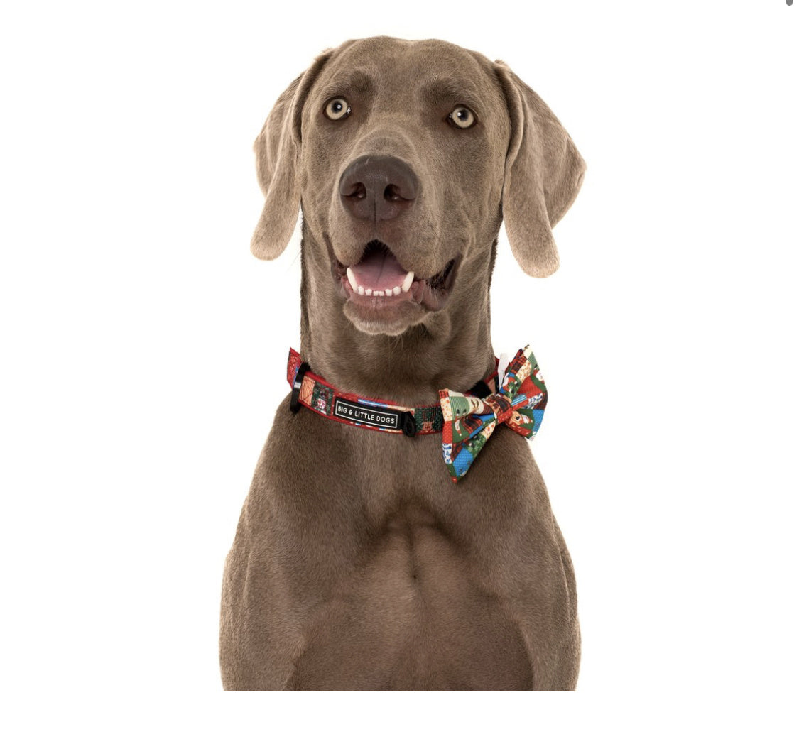 Big and Little Dogs Halsband Silly Season ( XS & M ) - Premium halsband > hondenhalsband from Big and Little Dogs - Just €10! Shop now at Frenkiezdogshop