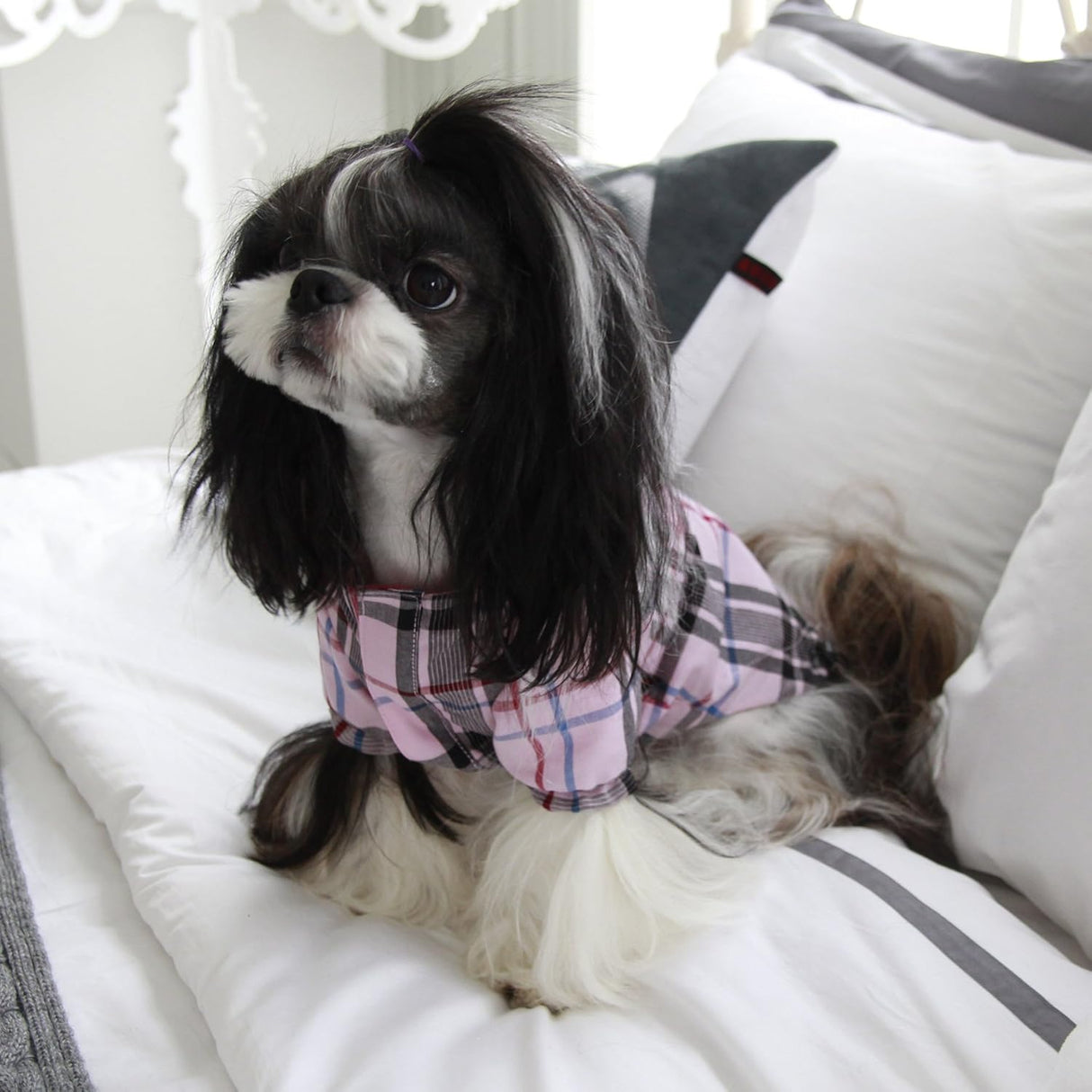 Puppia Junior raincoat pink - Premium Hondenkleding > hondenjas from Pinkaholic - Just €55.99! Shop now at Frenkiezdogshop