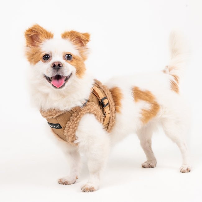 Puppia Winterstride Vest Harness NB Beige hondentuig > honden harnas > model B Small