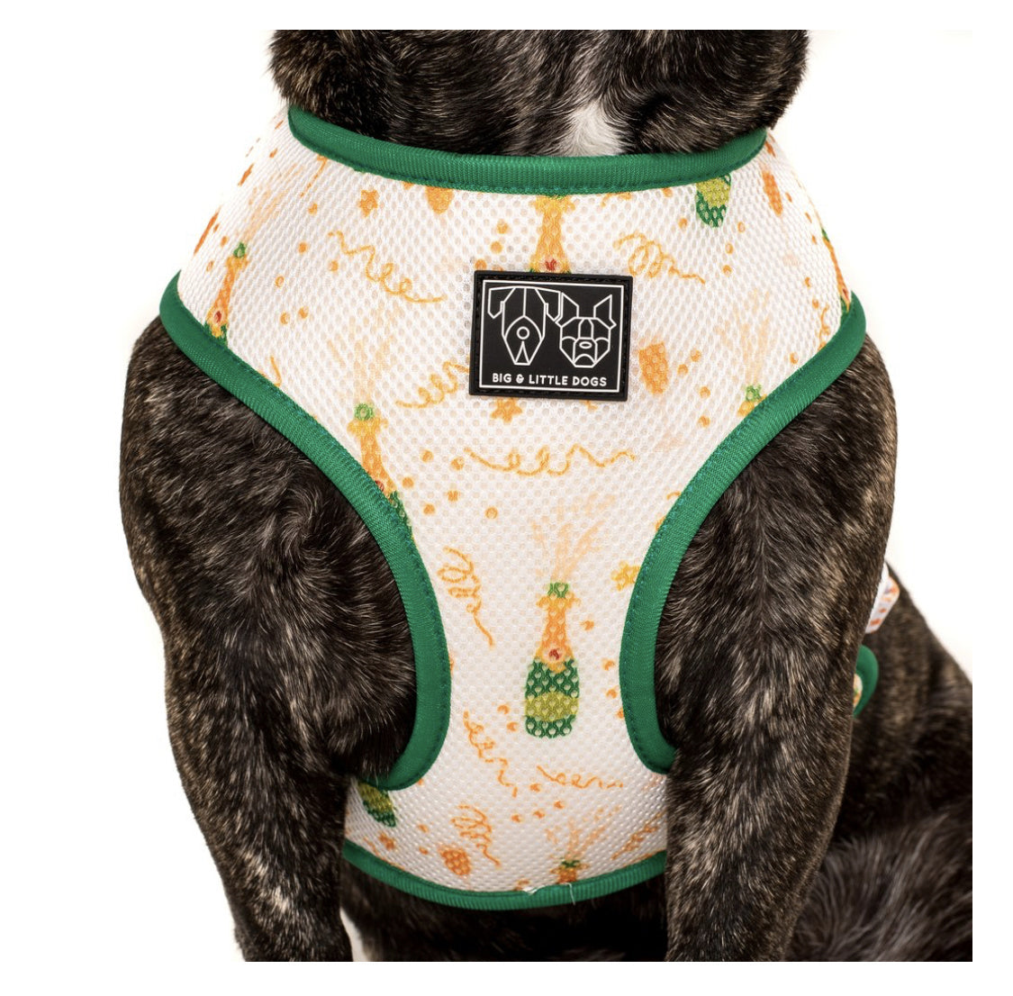 Big and Little Dogs Reversible Harness Silly Season ( XS, S & M ) - Premium hondentuig > honden harnas from Big and Little Dogs - Just €10! Shop now at Frenkiezdogshop