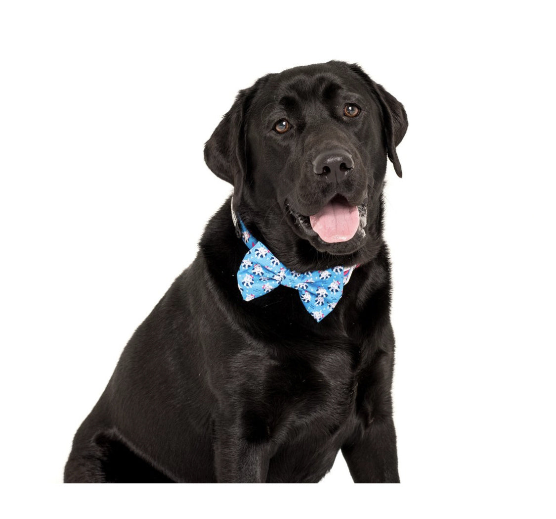 Big and Little Dogs Halsband Feeling Nauti ( XSMALL & MEDIUM ) - Premium halsband > hondenhalsband from Big and Little Dogs - Just €10! Shop now at Frenkiezdogshop