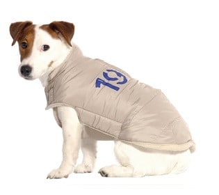 Bobby Manteau Racing Beige Alleen Small (34S) - Premium Hondenkleding > hondenjas from Bobby - Just €20! Shop now at Frenkiezdogshop