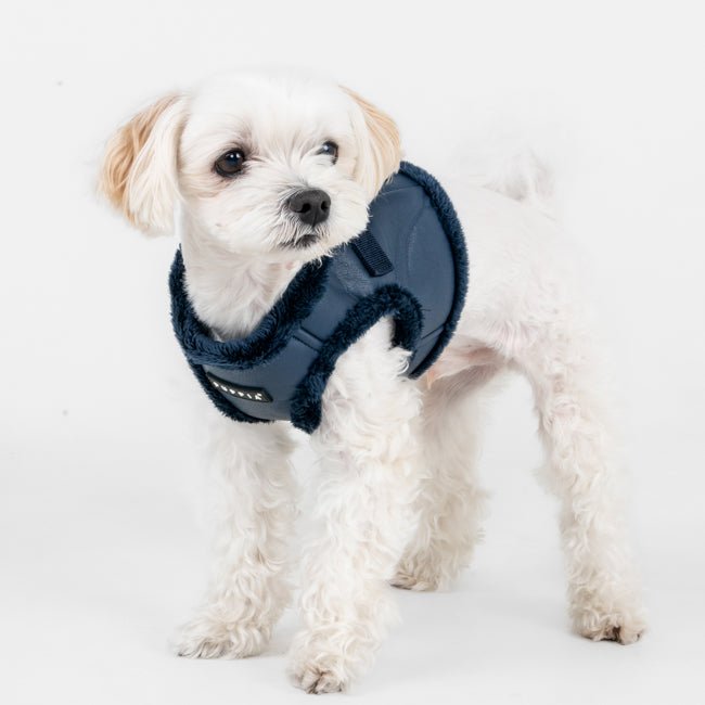 Puppia Wynter Vest Harness B Navy hondentuig > honden harnas > model B Small