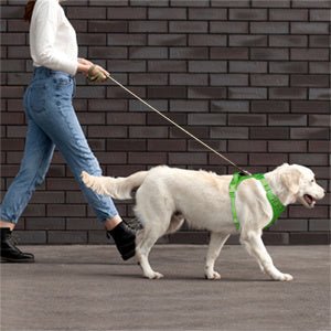 Frenkiez Y tuig dogharness reflective Neon Green ( matching straps ) hondentuig > honden harnas > Y tuigen Small