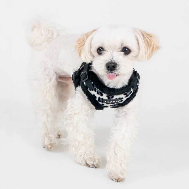 Puppia Wild Harness model C Black
