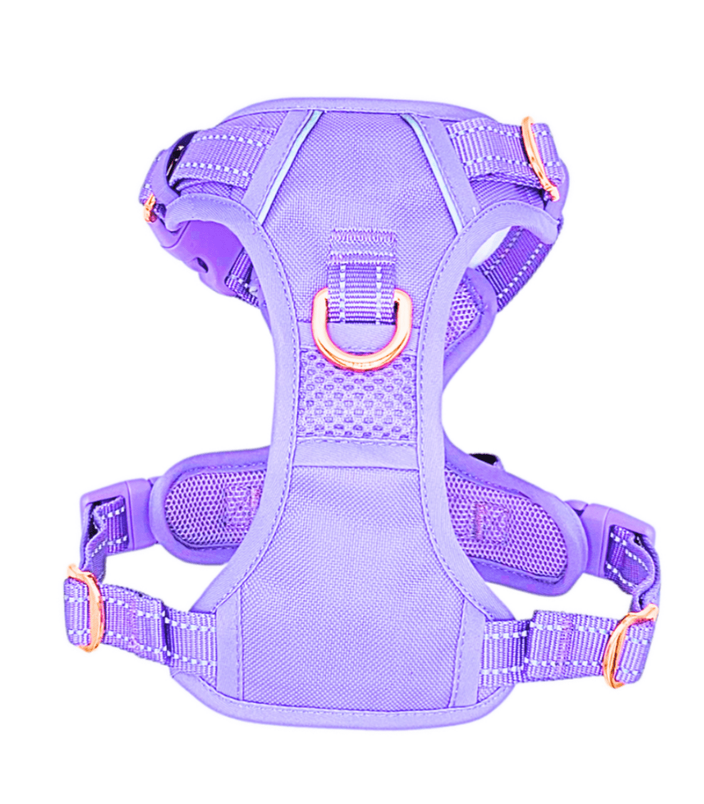 Frenkiez reflective Y tuig no pull dogharness Luxury Lila hondentuig > honden harnas > Y tuigen X - Small