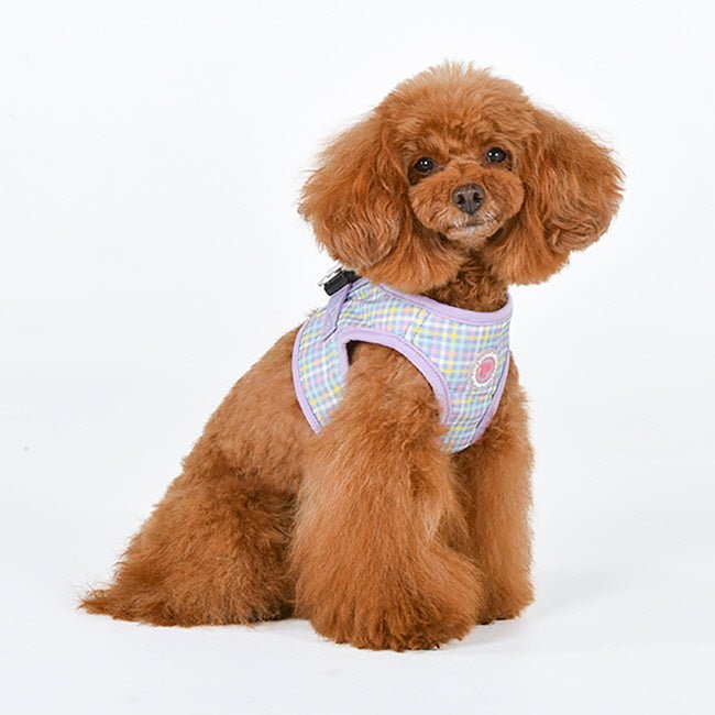 Pinkaholic Erasmus Vest Harness Violet hondentuig > honden harnas > model B Small