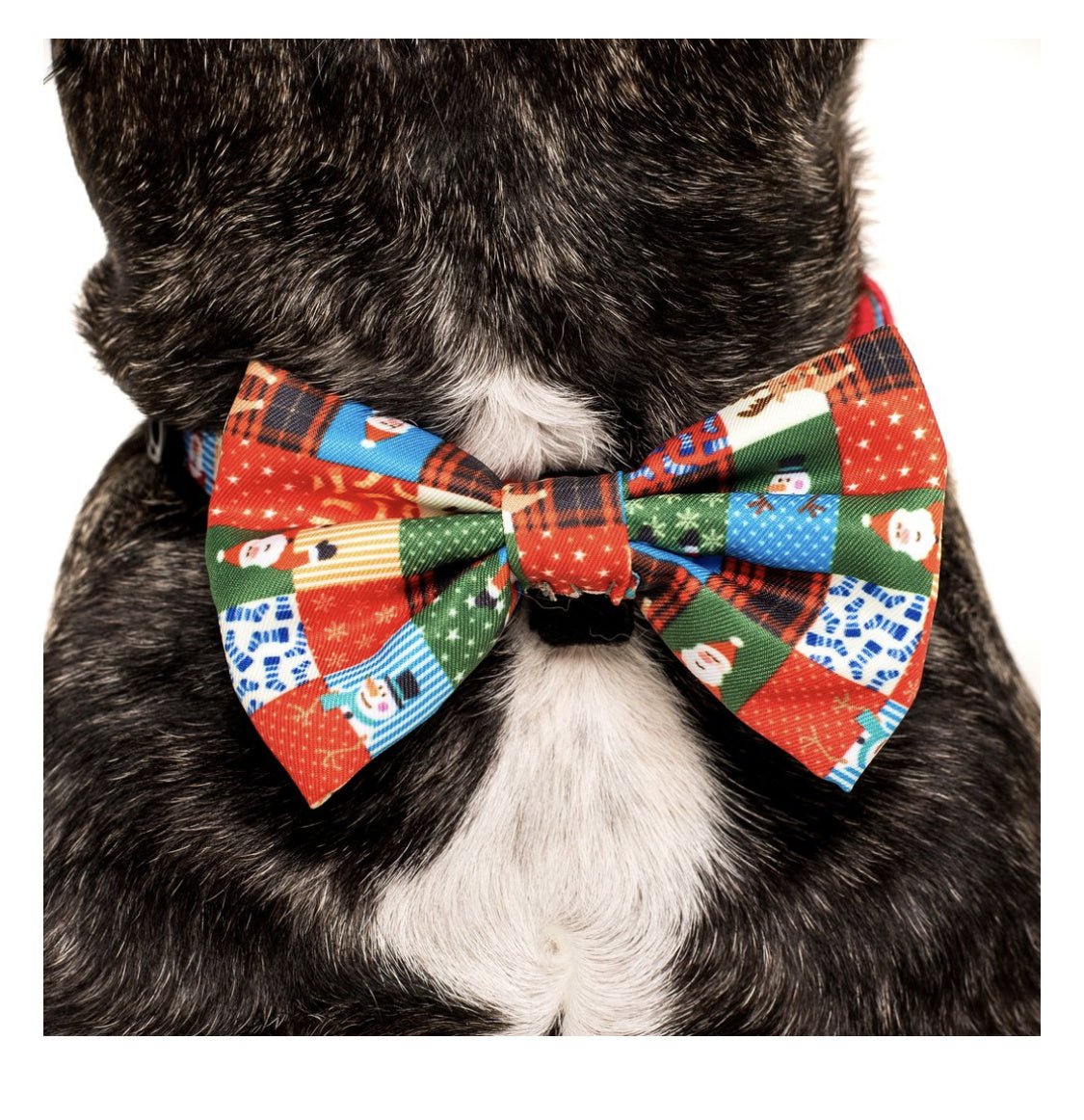 Big and Little Dogs Halsband Silly Season ( XS & M ) halsband > hondenhalsband X - Small