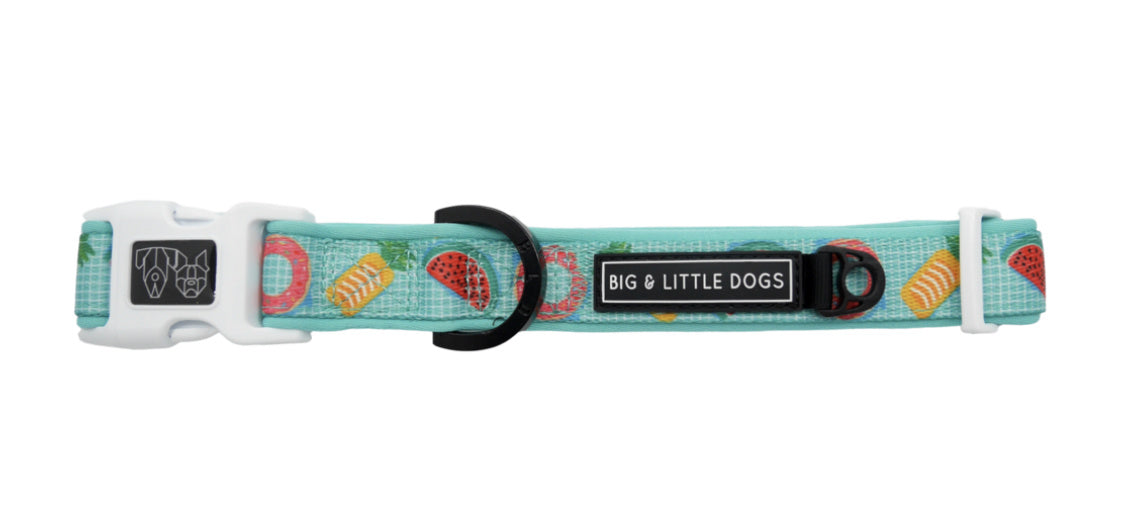 Big and Little Dogs Halsband A Splashing Good Time ( XSMALL ) - Premium halsband > hondenhalsband from Big and Little Dogs - Just €10! Shop now at Frenkiezdogshop