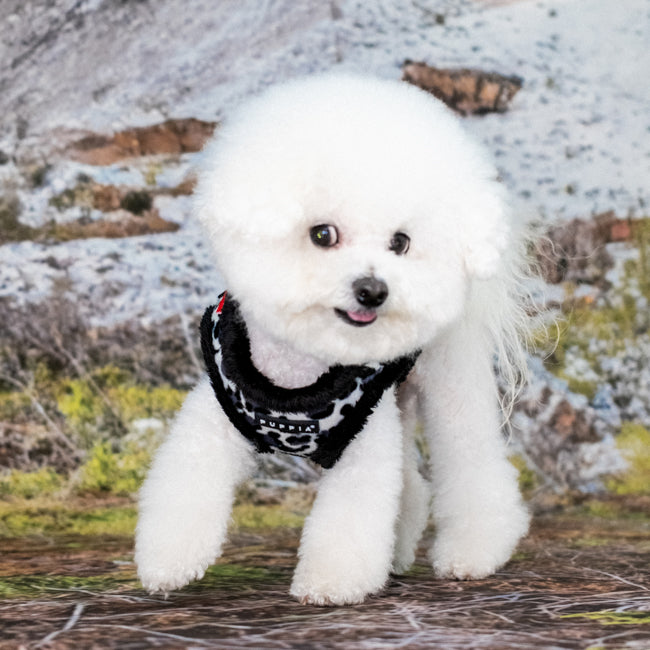 Puppia Wild Vest Harness B Black