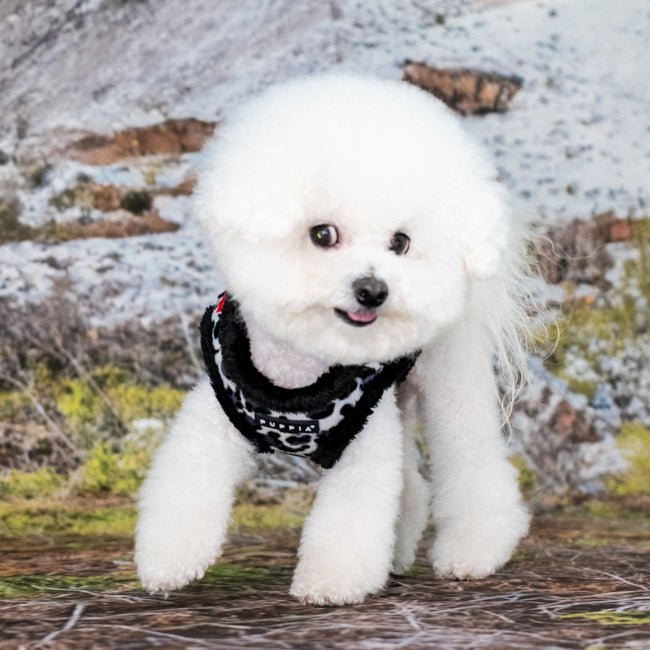 Puppia Wild Vest Harness B Black hondentuig > honden harnas > model B Small